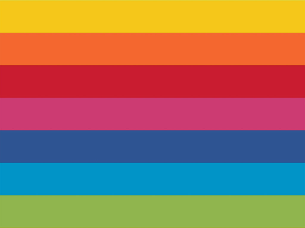Jersey Ringel breit multicolor